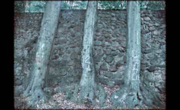 deutschLAND: BERNAUstill II . 2011 . pigment print - 10 Farben . Edition 5 . 42 x 67 cm