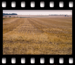 deutschLAND: Juliland II . 2006−07 . pigment print - 10 Farben . Edition 5 . 50 x 53,2 cm