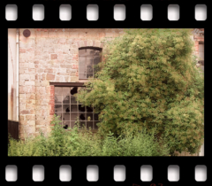 deutschLAND: Juliland II . 2006−07 . pigment print - 10 Farben . Edition 5 . 50 x 53,2 cm