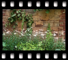 deutschLAND: Juliland IV . 2006−07 . pigment print - 10 Farben . Edition 5 . 50 x 53,2 cm