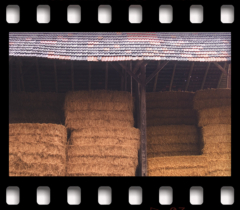 deutschLAND: Juliland VII . 2006−07 . pigment print - 10 Farben . Edition 5 . 50 x 53,2 cm