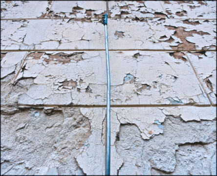 Prignitzer Fundstücke X . 2014 . pigment print - 10 Farben . Edition 5 . 29,1 x 35,95 cm