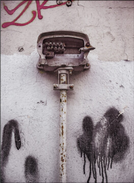 Prignitzer Fundstücke VII . 2015 . pigment print - 10 Farben . edition 5 . 35,95 x 29,1 cm