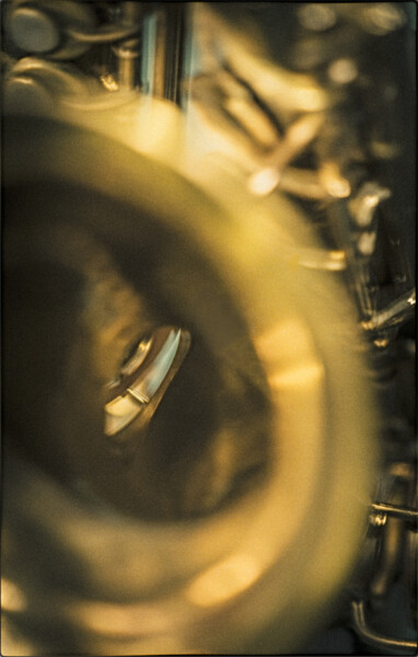 Sax Secret . 2018 . pigment print - 10 Farben . Edition 5 . 44,5 x 30,2 cm