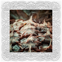 fuchtig kontemplativ: Ananastraum . 2016 . digital collage . pigment print - 10 Farben . Edition 5 . 30 x 30 cm