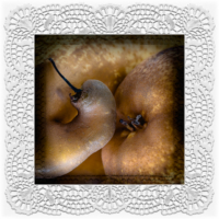 fuchtig kontemplativ: Birnenbraun . 2016 . digital collage . pigment print - 10 Farben . Edition 5 . 30 x 30 cm