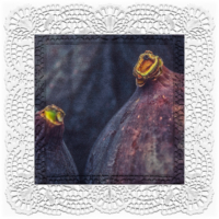 fuchtig kontemplativ: Feigenviolett . 2016 . digital collage . pigment print - 10 Farben . Edition 5 . 30 x 30 cm