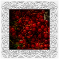 fuchtig kontemplativ: Johannisperlen . 2016 . digital collage . pigment print - 10 Farben . Edition 5 . 30 x 30 cm