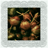 fuchtig kontemplativ: Kirschengold . 2016 . digital collage . pigment print - 10 Farben . Edition 5 . 30 x 30 cm