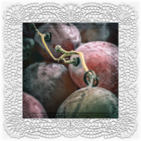 fuchtig kontemplativ: Traubenherbst . 2016 . digital collage . pigment print - 10 Farben . Edition 5 . 30 x 30 cm