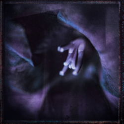 Blütenmaere VI . 2017 . pigment print - 10 Farben . Edition 5 . 50 x 50 cm