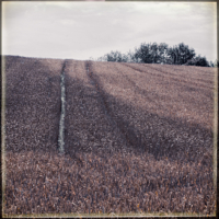 Lippische Miniaturen 6 . 2022 . pigment print - 10 Farben . Edition 5 . 10 x 10 cm