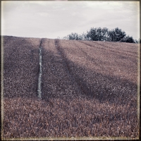 Lippische Miniaturen 6 . 2022 . pigment print - 10 Farben . Edition 5 . 10 x 10 cm