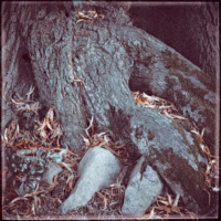 Lippische Miniaturen 4 . 2022 . pigment print - 10 Farben . Edition 5 . 10 x 10 cm