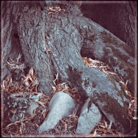 Lippische Miniaturen 4 . 2022 . pigment print - 10 Farben . Edition 5 . 10 x 10 cm