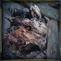 Lippische Miniaturen 3 . 2022 . pigment print - 10 Farben . Edition 5 . 10 x 10 cm