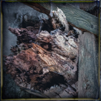 Lippische Miniaturen 3 . 2022 . pigment print - 10 Farben . Edition 5 . 10 x 10 cm