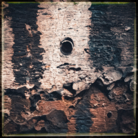 Lippische Miniaturen 8 . 2023 . pigment print - 10 Farben . Edition 5 . 10 x 10 cm